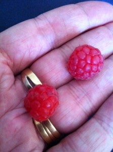 First raspberries